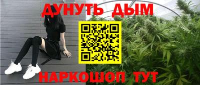гидропоника Новозыбков