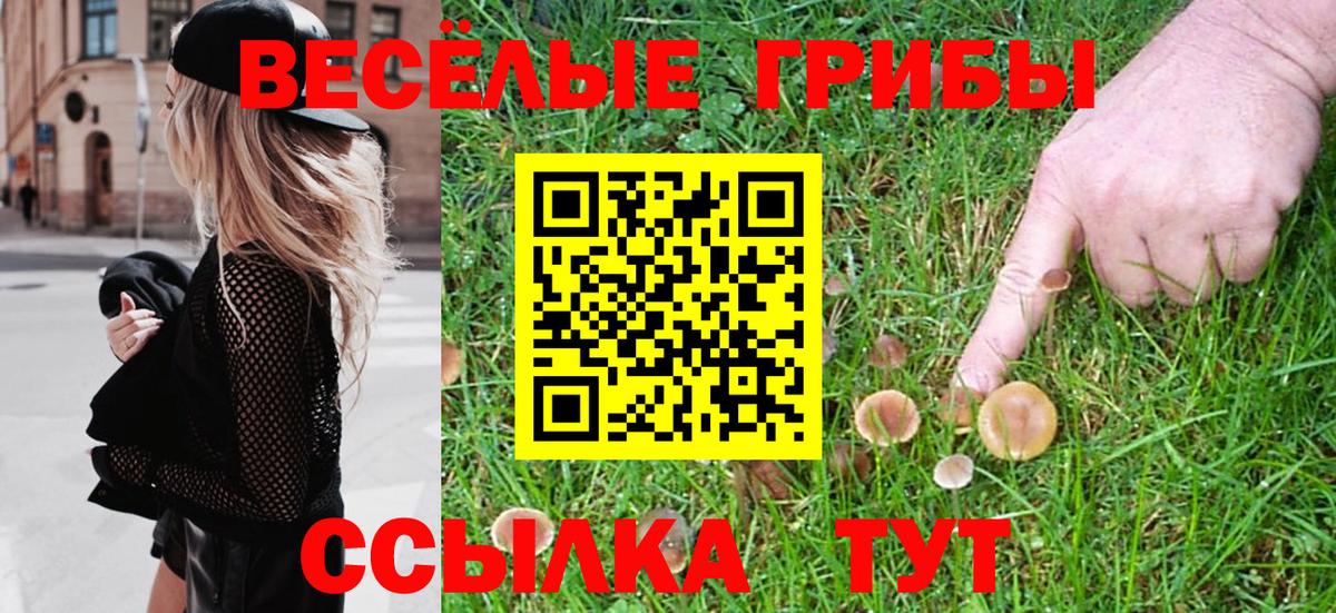 Псилоцибиновые грибы Psilocybe  Вход с VPN  как найти   Сокол 