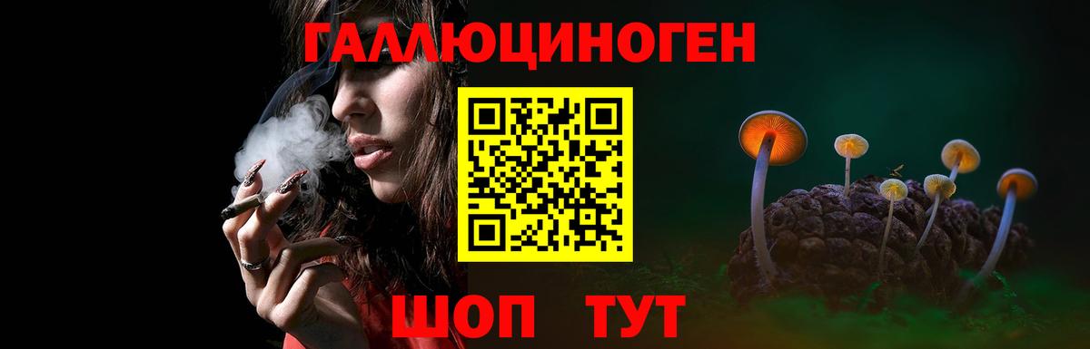 Псилоцибиновые грибы мицелий Сокол